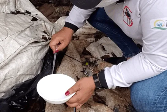 A situação de Roraima para as arboviroses nesse período é de alerta (Foto: Ascom/Sesau) 