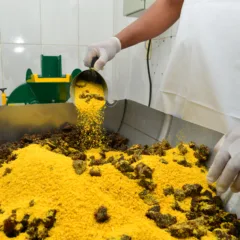 Prato tipicamente roraimense, a paçoca de carne une duas culturas base do nosso estado, a indígena e a nordestina (Foto: Nilzete Franco/FolhaBV)