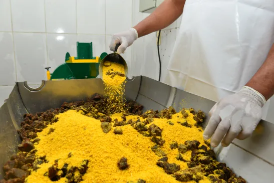 Prato tipicamente roraimense, a paçoca de carne une duas culturas base do nosso estado, a indígena e a nordestina (Foto: Nilzete Franco/FolhaBV)