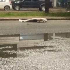 Ciclista morre em acidente com motocicleta na Avenida Venezuela