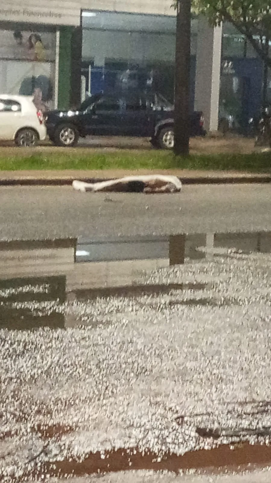 Ciclista morre em acidente com motocicleta na Avenida Venezuela Ciclista morre em acidente com motocicleta na Avenida Venezuela