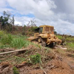 Máquinas teriam sido utilizadas para derrubar plantações. Foto: arquivo pessoal