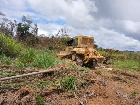Máquinas teriam sido utilizadas para derrubar plantações. Foto: arquivo pessoal