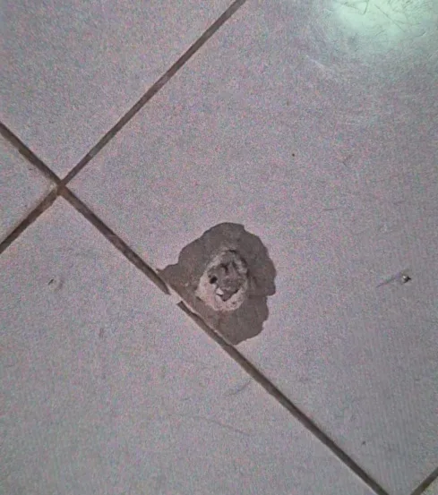 O disparo atingiu o chão (Foto: Divulgação) 