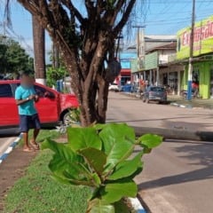 Intensidade da colisão do Fiat Siena derrubou o poste em um cruzamento em Rorainópolis (Foto: Divulgação)