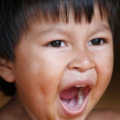 O bocejo, embora simples e cotidiano, revela aspectos profundos da biologia e do comportamento humano (Foto Wikimedia)