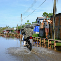 Segundo dados do Ministério da Integração e do Desenvolvimento Regional (MIDR), até o momento 33 decretos de emergência foram oficialmente reconhecidos (Foto Amazonia Real)