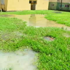 Moradores voltam a relatar extravasamento de esgoto, problema recorrente no Vila Jardim