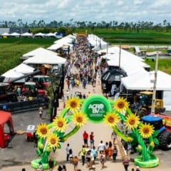  A proposta é reunir agricultores, empresários do setor, técnicos, estudantes e toda a população. Crédito: PMBV.