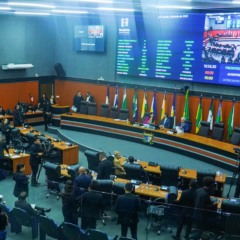 Leis estaduais ampliam prioridade em atendimentos - Foto Marley Limaa