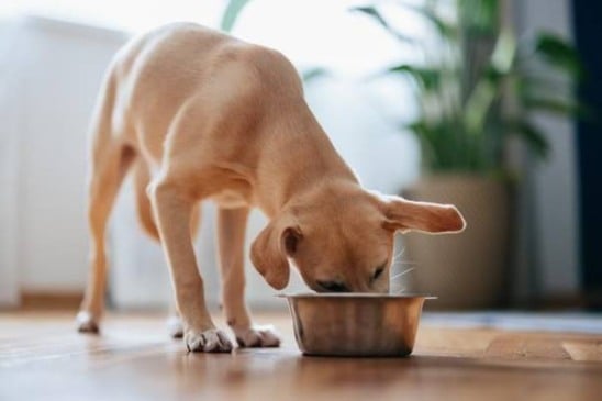 (Créditos: iStock/ miniseries)