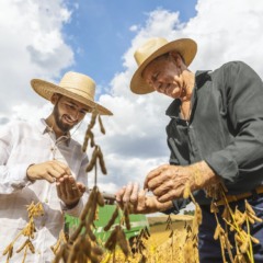 Foto: divulgação/Sicredi