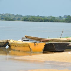 Rio Branco em Boa Vista (Foto: Nilzete Franco/FolhaBV) 