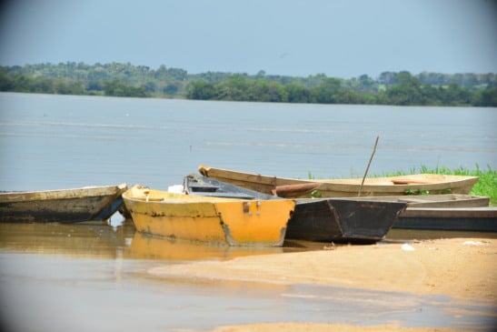 Rio Branco em Boa Vista (Foto: Nilzete Franco/FolhaBV) 