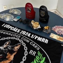 Material apreendido com o infrator (Foto: Divulgação) 