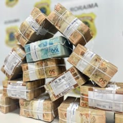 R$ 700 mil em espécie apreendidos pela Polícia Federal em ação contra lavagem de dinheiro (Foto: PF)