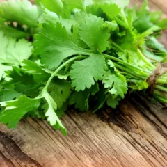 O que a genética tem a ver com o gosto amargo de certos vegetais e a rejeição ao coentro (Foto Divulgação)