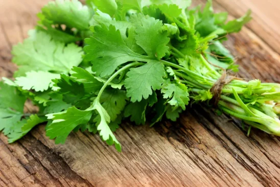 O que a genética tem a ver com o gosto amargo de certos vegetais e a rejeição ao coentro (Foto Divulgação)