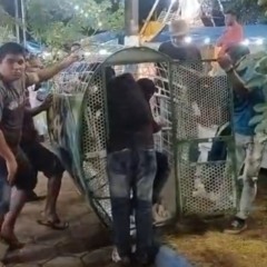 Criança fica ferida após estrutura de roda-gigante ceder em parque de diversões em Rorainópolis