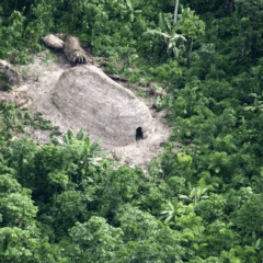 Funai abre seleção com mais de mil vagas temporárias; confira a distruibuição por estado
