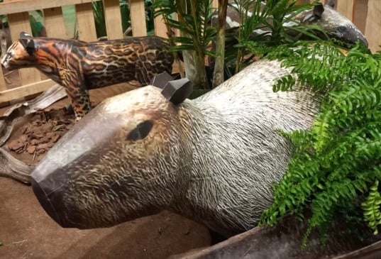 A mostra, assinada pelo artista plástico Wendel Gustavo. (Foto: Divulgação)