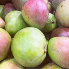 Ela concentra nutrientes essenciais e antioxidantes que ajudam a prevenir problemas de visão (Foto Divulgação)