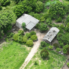 Imagem aérea da Chácara onde os animais foram localizados. (Foto: PCRR).