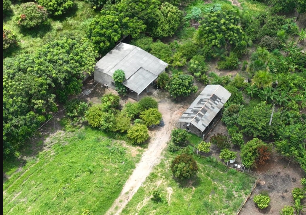 Imagem aérea da Chácara onde os animais foram localizados. (Foto: PCRR).