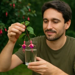 Como fazer muda de brinco-de-princesa com galho e copo com água