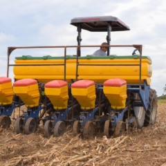 Governo de Roraima dá início ao cultivo direto de feijão-caupi na Comunidade do Jabuti, em Bonfim