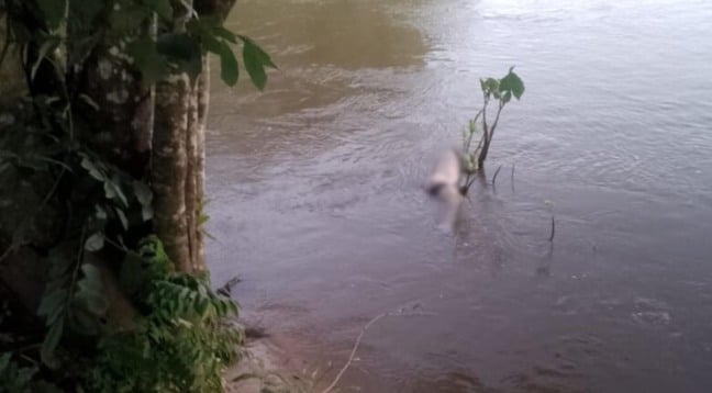L.C.L. desapareceu no sábado, 2, após a canoa em que estava, com outros dois homens, naufragar em um rio - Foto: Reprodução