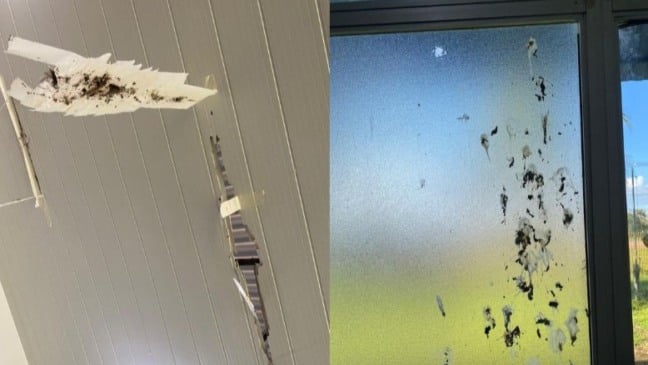 Imagens foram registradas dentro de sala de aula - Foto: Arquivo Pessoal