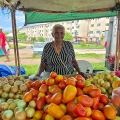 Brasil tem 2,3 mil mercados públicos e mais de 9 mil feiras livres em funcionamento