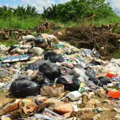 Local se transformou em lixão a céu aberto (Foto: Nilzete Franco/FolhaBV)