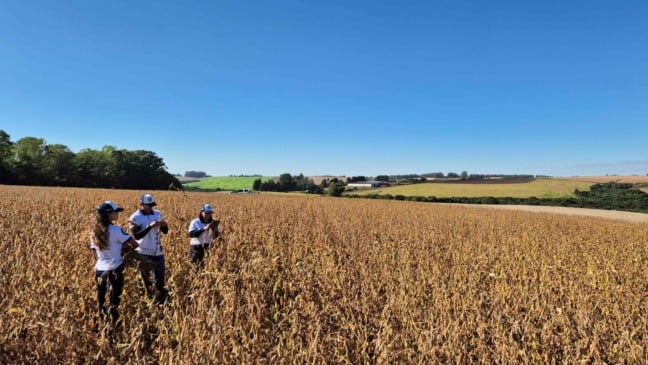 A equipe técnica percorrerá propriedades no entorno de Boa Vista para realizar medições em campo, como contagem de vagens e grãos, pesagem e análise da população de plantas. Foto: divulgação