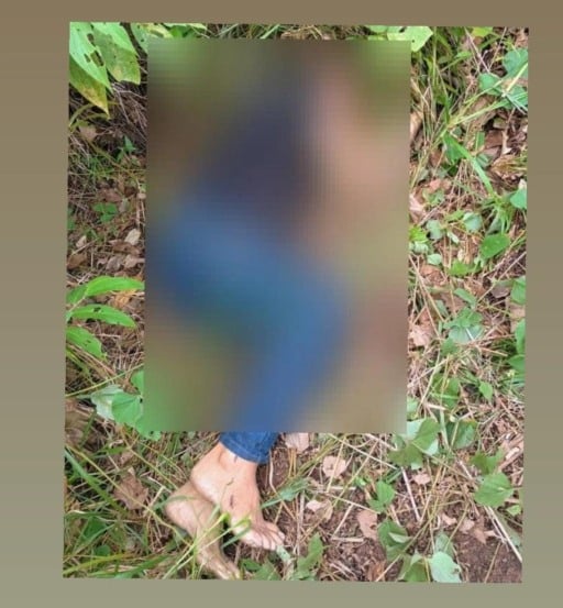 A vítima estava caída sob a vegetação (Foto: Divulgação) 