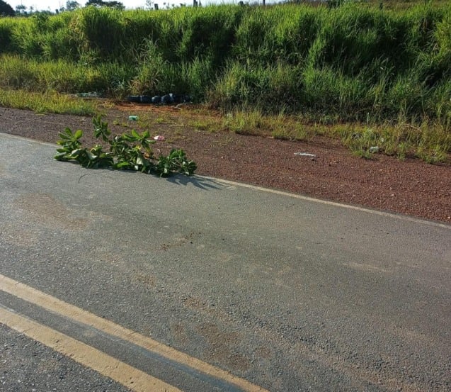 Corpo foi jogado às margens da Rodovia (Foto: Divulgação)