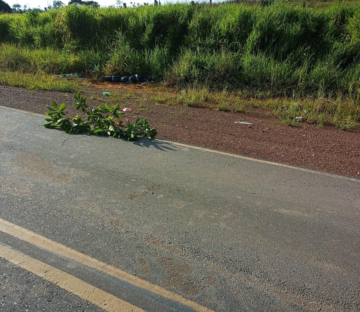 Corpo foi jogado às margens da Rodovia (Foto: Divulgação)