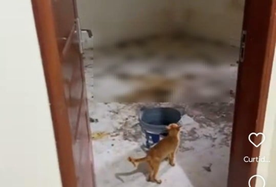 O local estava com muitas fezes de animais (Foto: Reprodução) 