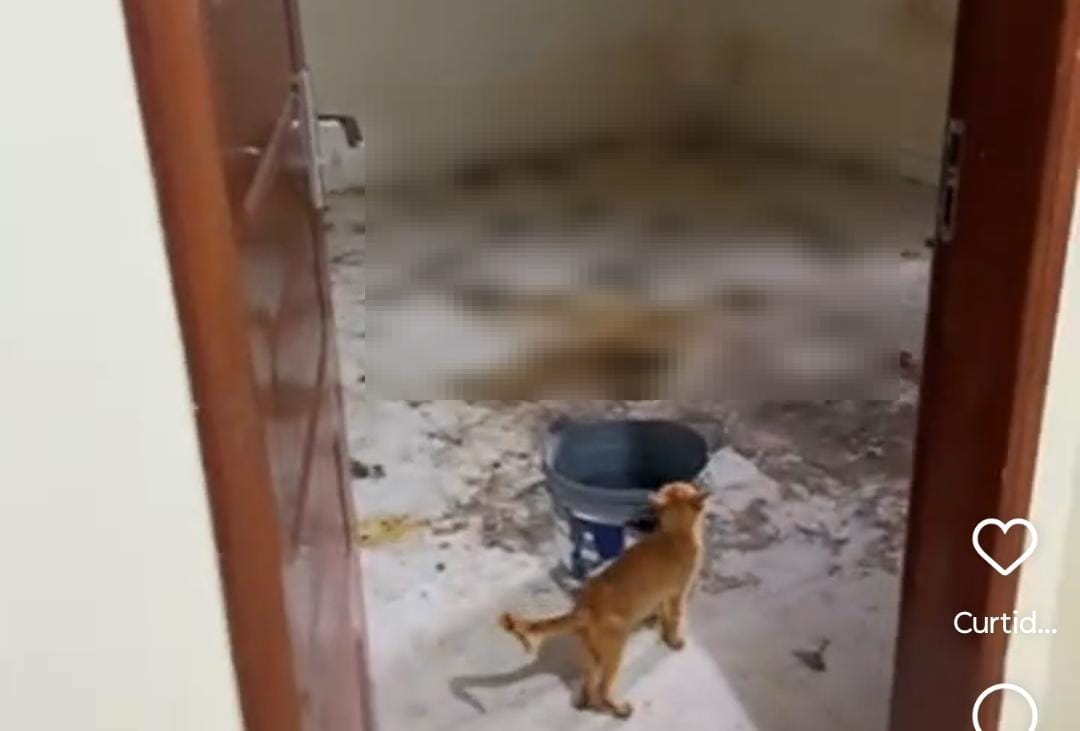 O local estava com muitas fezes de animais (Foto: Reprodução) 