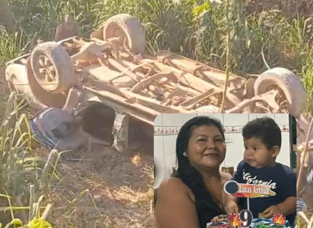 A caminhonete caiu em um barranco (Foto: Reprodução) 
