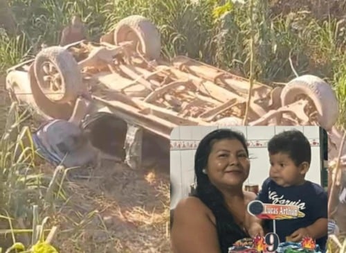 A caminhonete caiu em um barranco (Foto: Reprodução) 