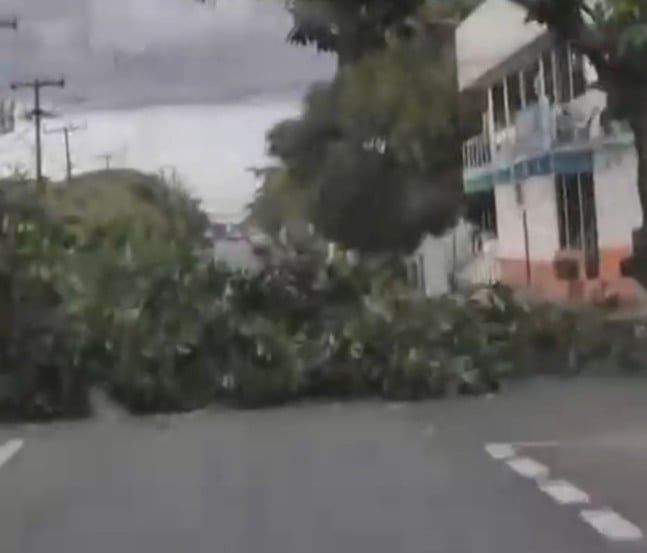 Trânsito ficou parcialmente bloqueado e motoristas precisaram redobrar a atenção ao passar pelo local. (Foto: Reprodução)