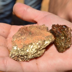 Material presente na área de mais de 100 mil hectares em Caracaraí (Foto: Nilzete Franco/FolhaBV)