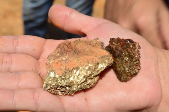 Material presente na área de mais de 100 mil hectares em Caracaraí (Foto: Nilzete Franco/FolhaBV)