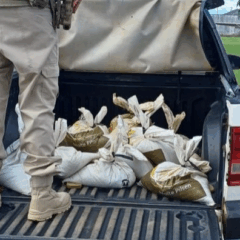 Cassiterita foi encontrada em sacos no interior de um veículo abandonado por suspeitos durante fuga na BR-174, em Boa Vista. (Foto: PRF/RR)