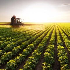 A proposta é discutir soluções que unam inovação tecnológica, ciência aplicada e saberes tradicionais para enfrentar os principais desafios da produção rural na Amazônia. (Foto: Divulgação)