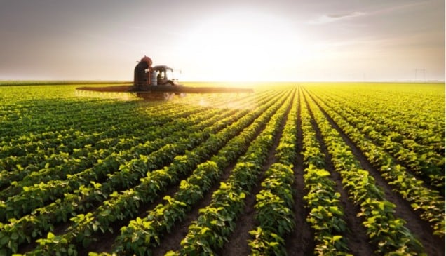 A proposta é discutir soluções que unam inovação tecnológica, ciência aplicada e saberes tradicionais para enfrentar os principais desafios da produção rural na Amazônia. (Foto: Divulgação)