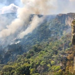 Incêndio destruiu grande parte do Platô de Tepequém em fevereiro de 2024