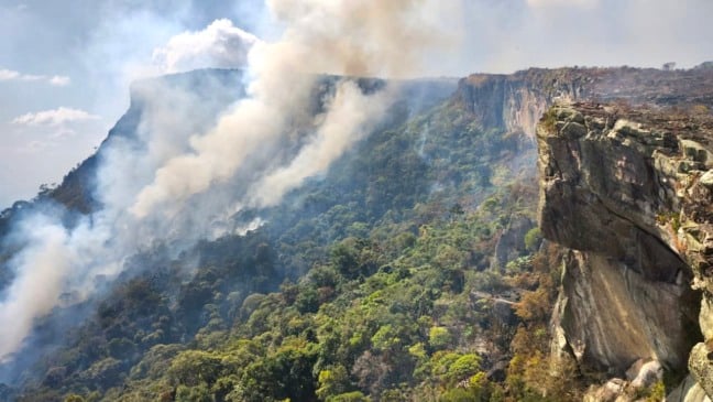 Incêndio destruiu grande parte do Platô de Tepequém em fevereiro de 2024